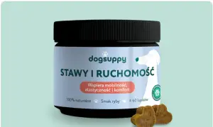 Dogsuppy Stawy i Ruchomość