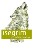 Isegrim Adult forest Mięso z renifera, jeżyny, grzyby i dzikie zioła  400g