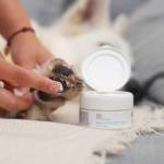VET EXPERT PAW PROTECTION
