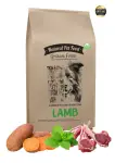 Natural Pet Food Grain Free Jagnięcina