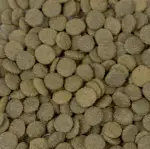 Natural Pet Food Grain Free Jagnięcina