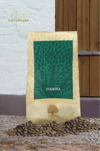 Karma dla psa Essential Foods Stamina kurczak, kaczka, łosoś i pstrąg 10kg 