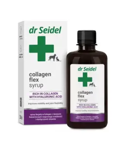 DrSeidel_Collagen-flex-sirup_2024_03_26_JK1-600x690.webp