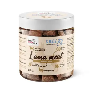 lama.webp