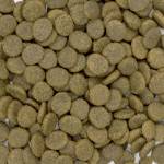 Natural Pet Food Grain Free Indyk z batatami i żurawiną 2kg.jpg